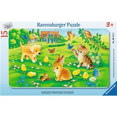 Spiel 6029.0