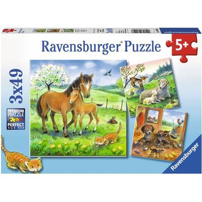 Spiel 6058.0